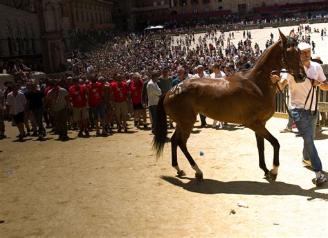 Palio La Prima Prova Va Alla Chiocciola Il Cittadino Online