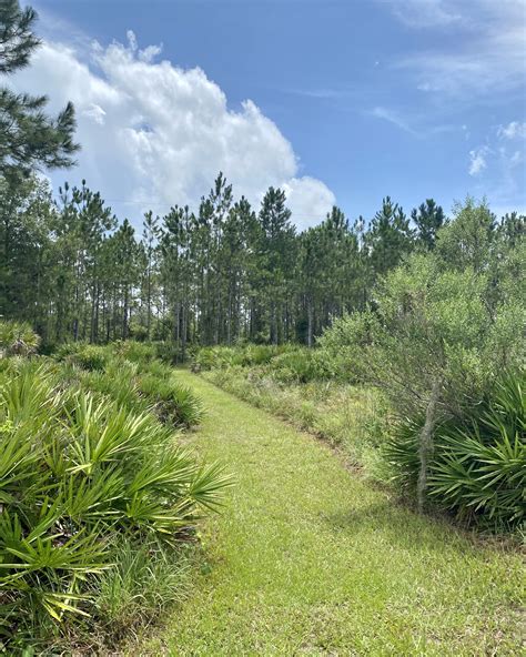 Little Manatee River State Park - Florida Lives