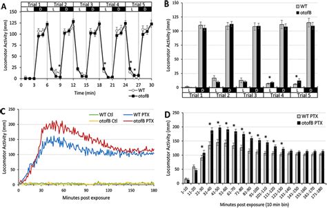 Larval Zebrafish Behavioral Assays For Wild Type Wt And Otofb Mutants