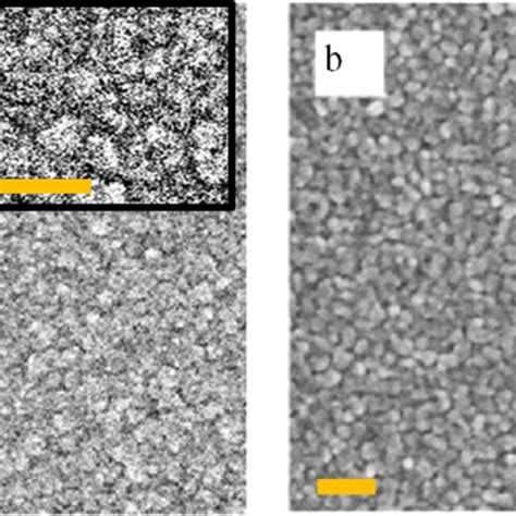 A An Sem Image Of A Thin Layer Of Pbse Without Any Heat Treatment