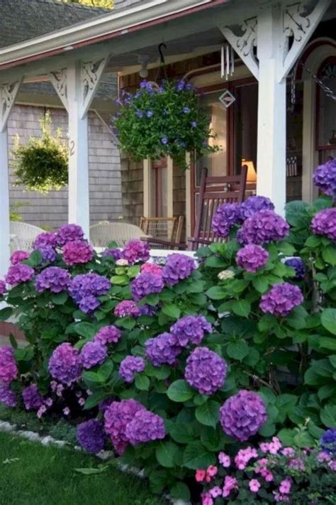 50 Most Beautiful Hydrangeas Landscaping Ideas To Inspire You 010