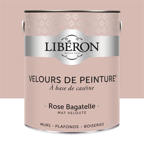 Velours De Peinture Rose Bagatelle L