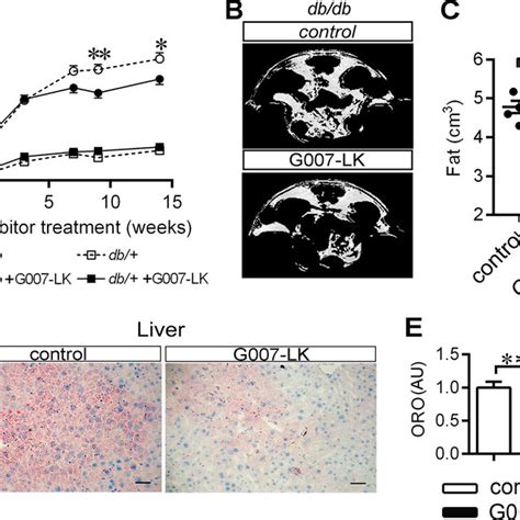 Tnks Inhibition Reduces Body Weight Gain Fat Mass And Hepatic