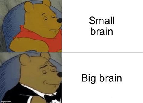 Small Brain Big Brain Imgflip