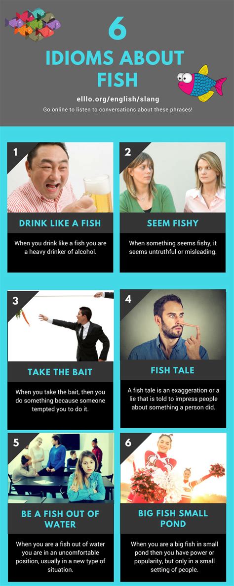 Learn Six Idioms About Fish Go Online To Hear These Idioms Used In