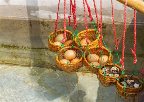 Eggs Boiling In Hot Spring Stock Image Image Of Healthy 49397261
