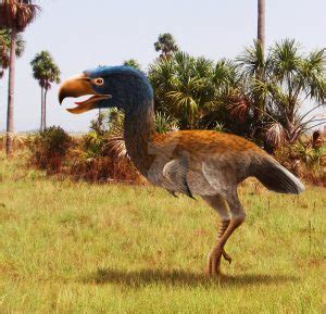 Titanis Aves Prehist Ricas Datos Y Curiosidades