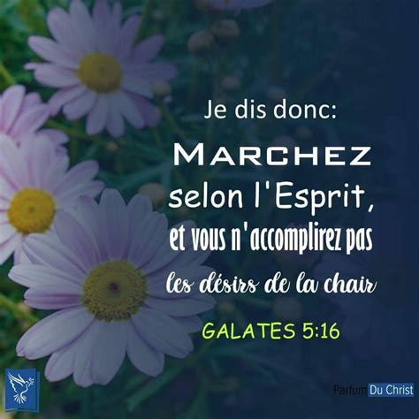 Marc Verset La Bible