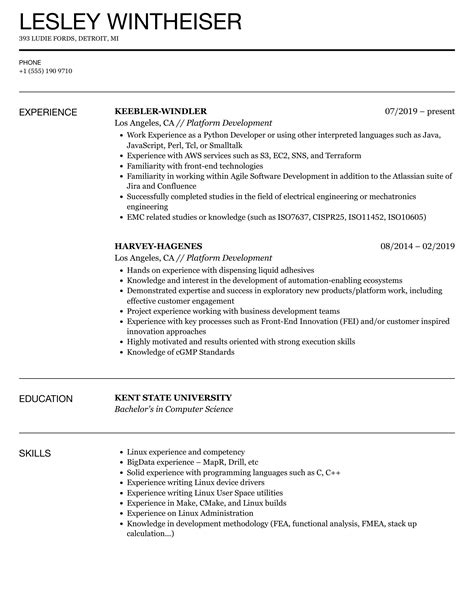 Platform Development Resume Samples Velvet Jobs