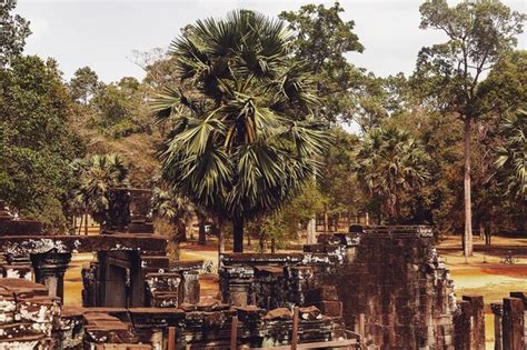 Ruinas De Piedra Del Complejo De Templos De Angkor Wat El Monumento