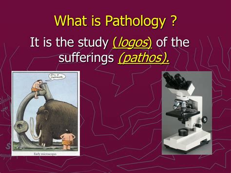 PPT - Introduction to pathology PowerPoint Presentation, free download ... 