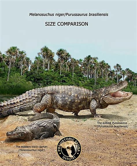 26 New Comparisons Of The Sizes Of Prehistoric Animal Ancestors And