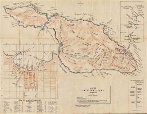 map  catalina island california wilsons map  avalon  catalina