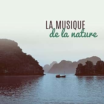 La Musique De La Nature Sons Calmes De La Nature Musique D Ambiance