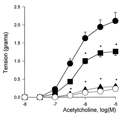 Endothelium Dependent Contractions Are Associated With Both Augmented