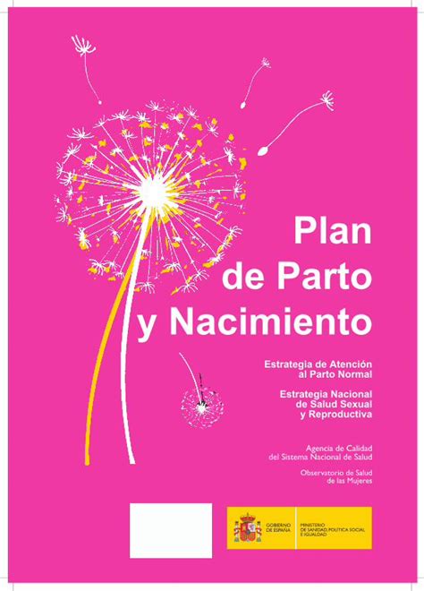 Pdf Plan De Parto Y Nacimiento Este Plan De Parto Es Un Documento