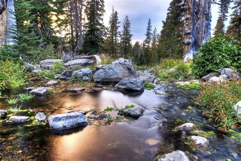 Mt Rose Summit Trailhead Trails Near Reno Nevada