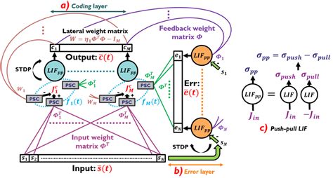 Snn Stdp Architecture A The Coding Layer Features I 1 M Pairs