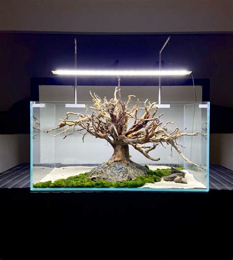 Aran Acja Do Akwarium Korzenie Aquascape Aquaman New Room Driftwood