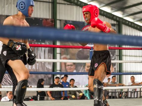 Prajurit Yonif 2 Marinir Raih Medali Emas Kejuaraan Kickboxing Piala