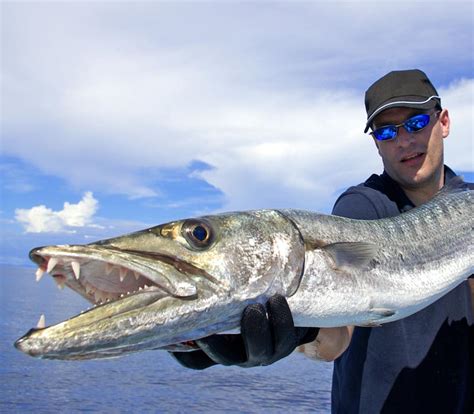 Big Game Fishing - Hunting Mauritius