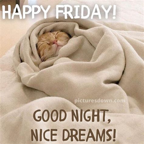 Good Night Friday Picture Cat In A Blanket Picturesdown