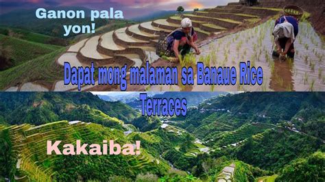 Banaue Rice Terraces As Tourist Attraction In The Philippineshagdan