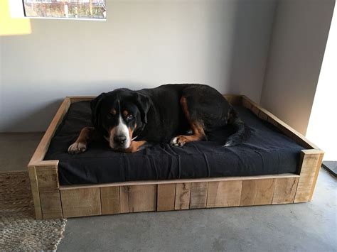 37 incredible dog beds for large dogs guides this summer you will love ...