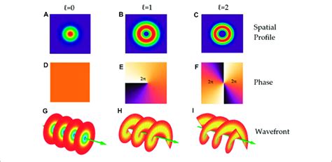 The Spatial Phase Structure Of Plane Waves And Vortices With