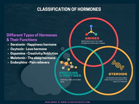 Female Hormone Types