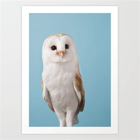 Fizz The Barn Owl Limited Edition Print Art Printfizz The Barn Owl