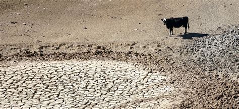 Kenya Meteorological Department Warns of Persistent Drought - Kenyan ...