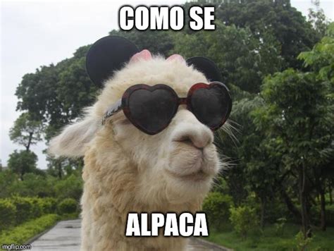 Cool Llama Imgflip