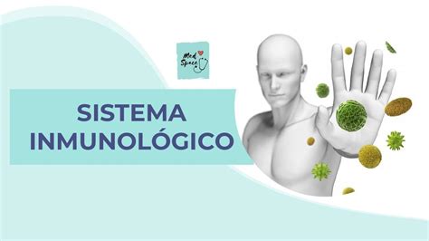 Sistema Inmunológico Med JulSpace uDocz