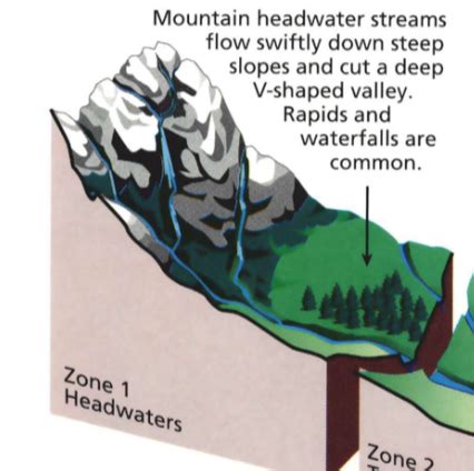 Watershed Test Watershed Exam Flashcards Quizlet