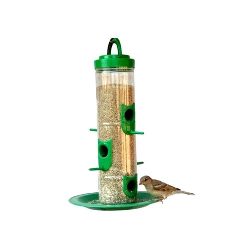 Buy Hanging Bird Feeder online at cheap price on plantsguru.com