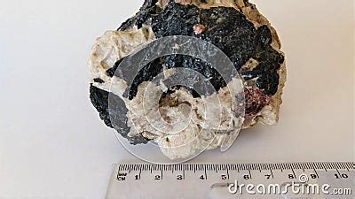 Hand Sample Of Pegmatite With Metric Ruler Stock Photo Cartoondealer