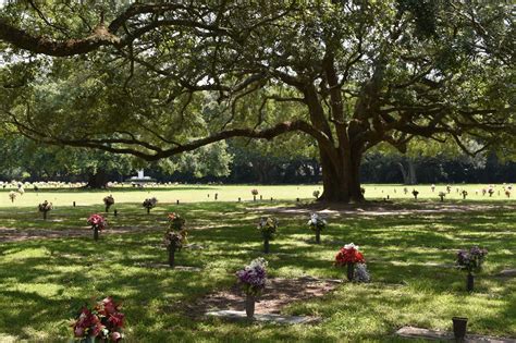 Ground Burial - Mobile Memorial Gardens