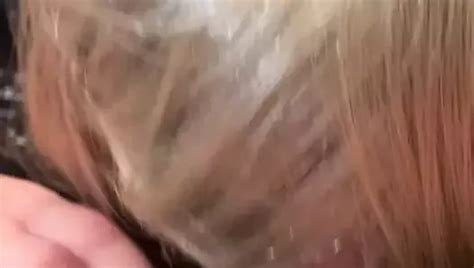 Free Love Sucking Cock Gay Porn Videos Xhamster