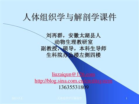 人体组织解剖学课件word文档在线阅读与下载文档网