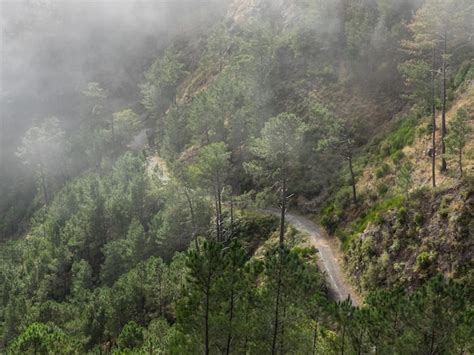 Premium Photo | Hiking on madeira island