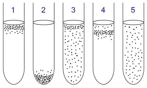 Use of Liquid Nutrient Broth Media for Growing Bacteria