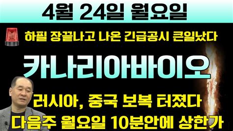 카나리아바이오 🚨속보 하필 장끝나고 나온 긴급공시 러시아 중국 보복 터졌다 다음주 10분안에 상한가 가니깐 월요일