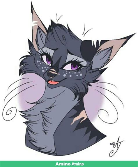 •º‖анкетушка‖º• | Wiki | °Коты-Воители• [RUS] Amino