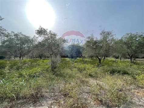 Terreno Agricolo Contrada Laufi Battaglia Noto Rif 108282263