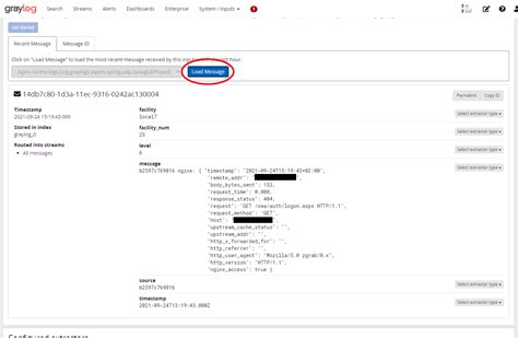 Nginx Logs To Graylog Input Extractors Raddinox