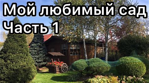Мой любимый сад. Часть 1. Обзор - YouTube