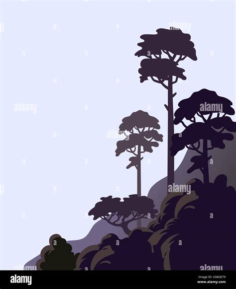 Tall Pine Tree Vector