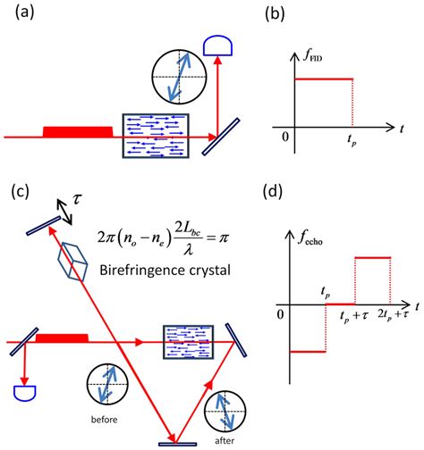 Schematic Scheme Of Faraday Rotation Echo A A Linearly Polarized