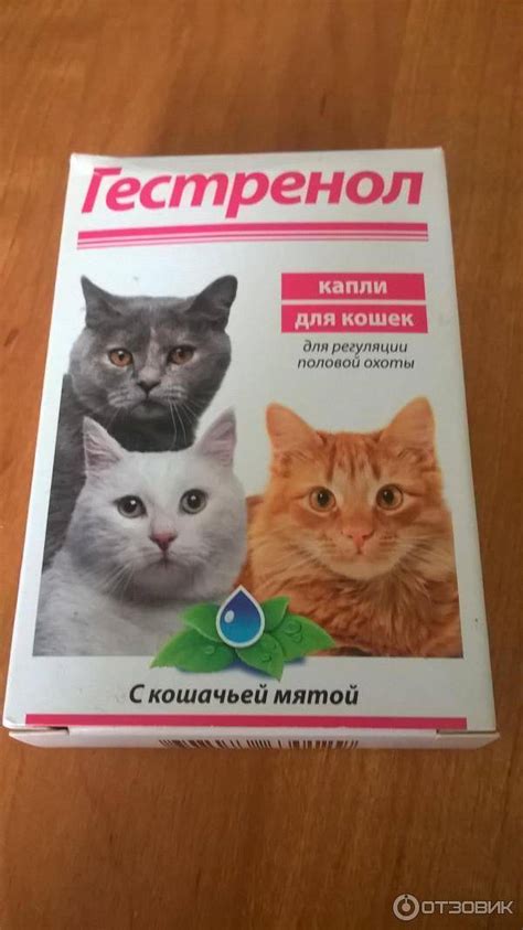Капли для кошек во время течки - обзор препаратов